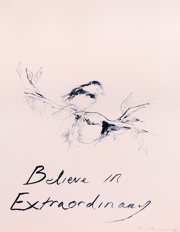 Believe in Extraordinary (Signed lithograph edition of 300)