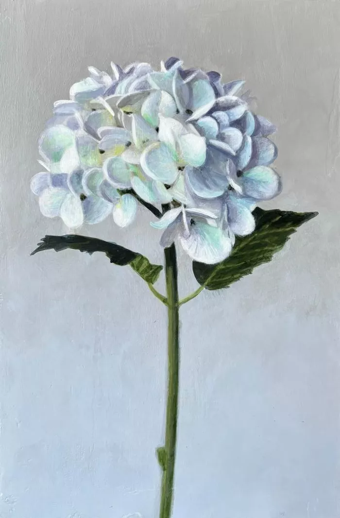 Hydrangea (SOLD)