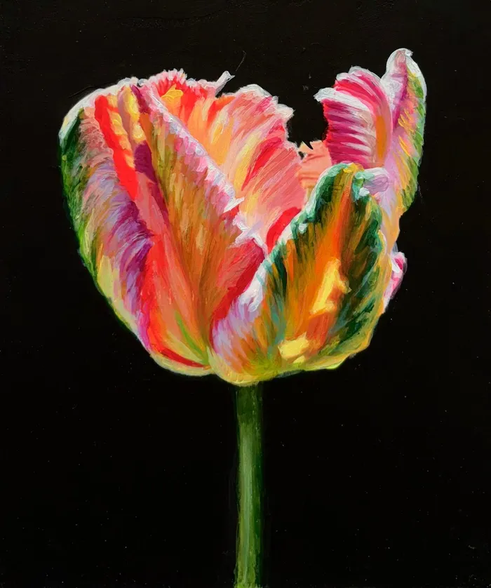 Parrot Tulip 2 