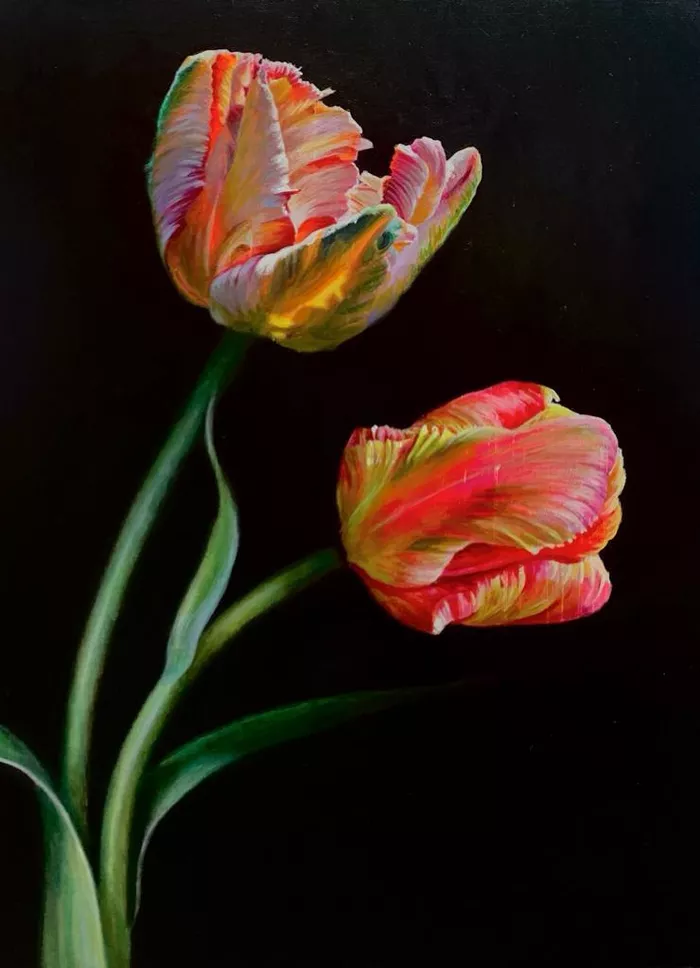 Parrot Tulips