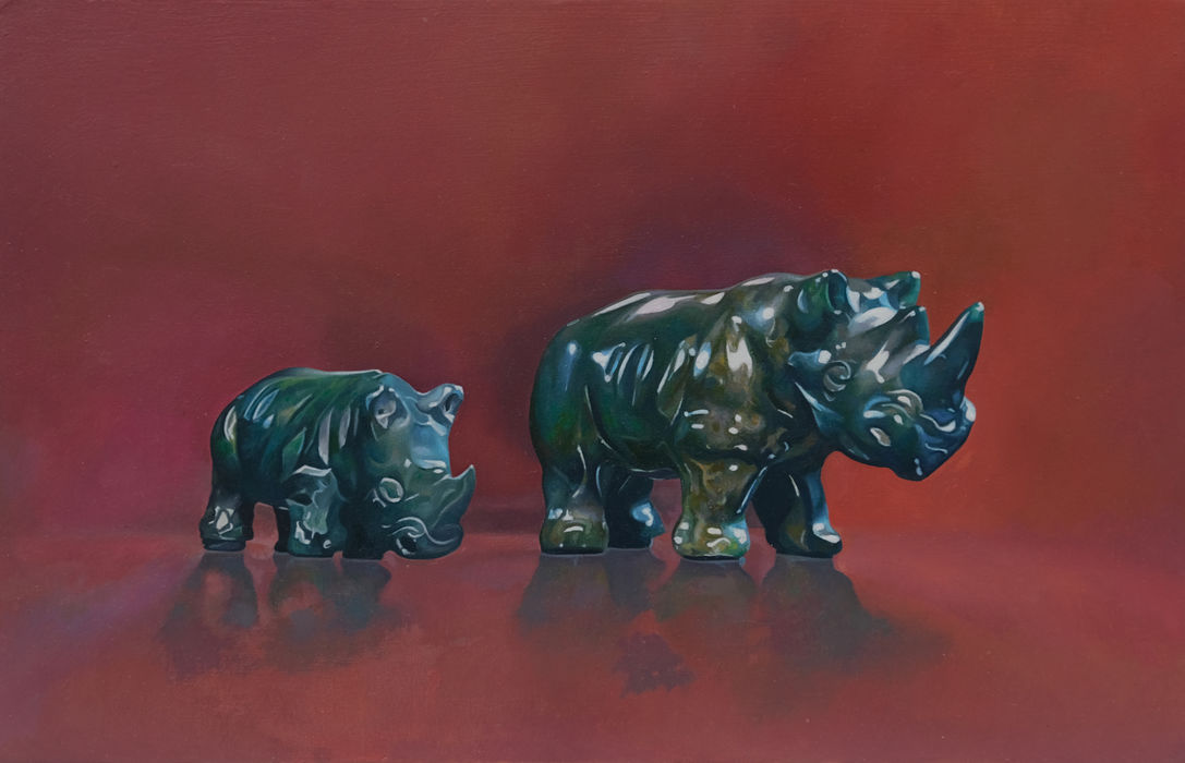 Rhinos 