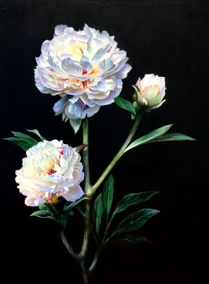 White Peonies